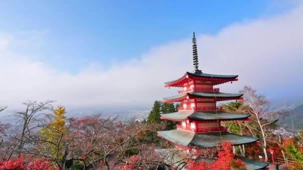 Colorido Paisaje Otoñal Con Montaña Fuji Pagoda Chureito Japón — Vídeos de Stock