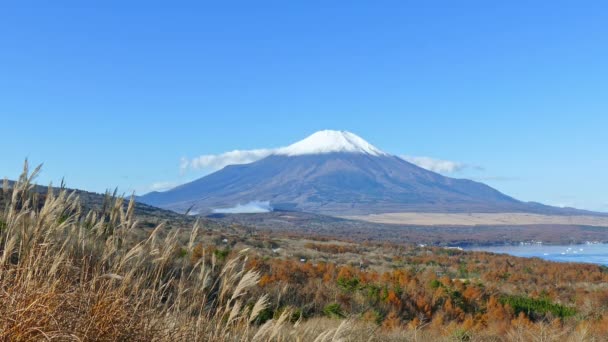 Paesaggio Autunnale Colorato Con Montagna Fuji Giappone — Video Stock
