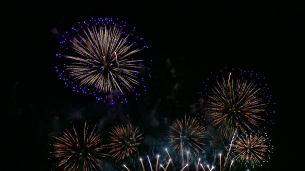 Video Von Buntem Feuerwerk Das Dunklen Nachthimmel Glüht — Stockvideo