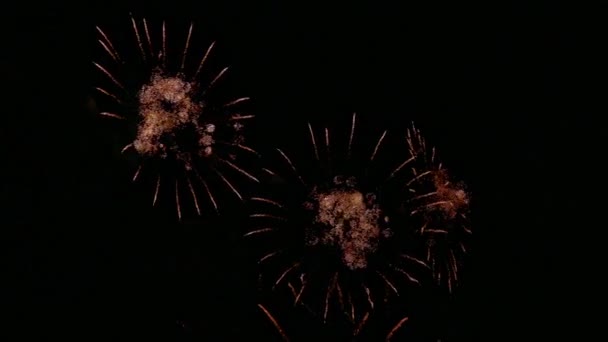 暗い夜空に輝くカラフルな花火の4Kビデオ — ストック動画