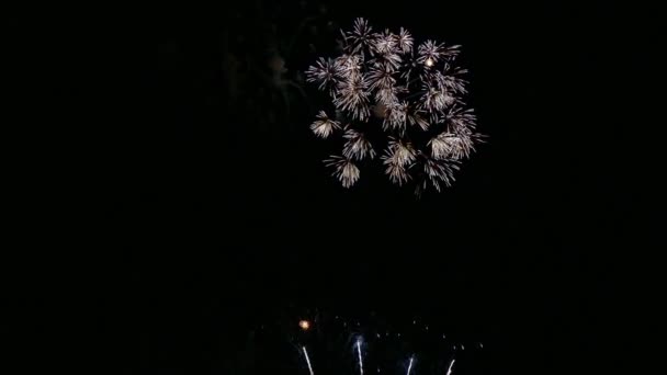 Vidéo Feux Artifice Colorés Lumineux Dans Ciel Nocturne Sombre — Video