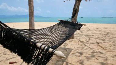 Kumsalda boş hamak