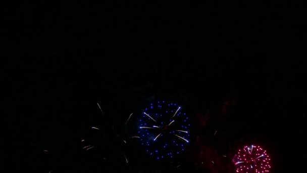 Videó Színes Tűzijátékokról Világít Sötét Éjszakai Égbolton — Stock videók