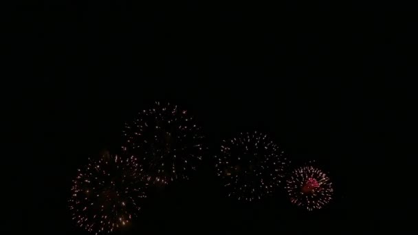 暗い夜空に輝くカラフルな花火の4Kビデオ — ストック動画