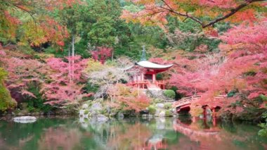 Japonya 'nın Kyoto şehrinde sonbaharda renkli akçaağaç ağaçları olan Daigo-ji tapınağı.