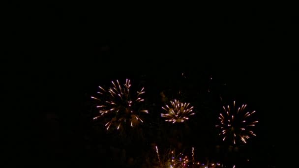 Video Farverige Fyrværkeri Glødende Mørk Nattehimmel – Stock-video