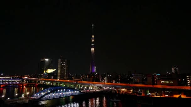 Time Lapse Osaka City Japón — Vídeo de stock
