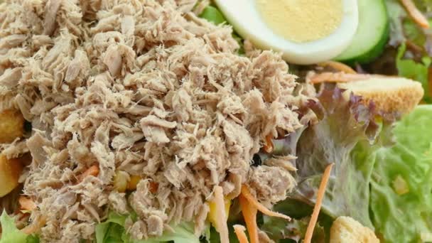 Tuna salad with fresh vegetables — Stock Video