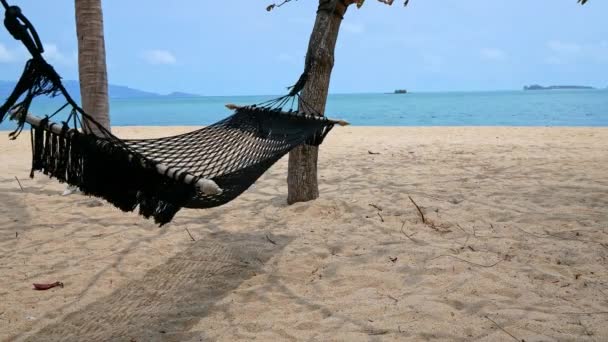 Hamaca Vacía Playa — Vídeos de Stock