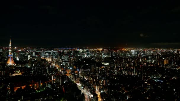 Vue Imprenable Sur Ville Tokyo Vue Sur Nuit — Video