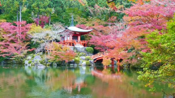 Arashiyama Temporada Otoño Kyoto Japón — Vídeo de stock