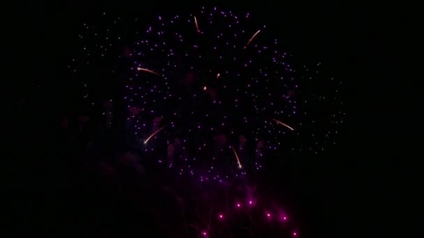 暗い夜空に輝くカラフルな花火の4Kビデオ — ストック動画