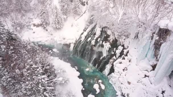 paysage hivernal étonnant avec pins et rivière gelée