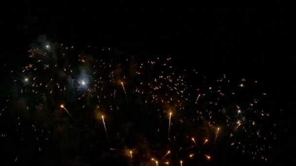 어두운 밤하늘에서 타오르는 불꽃놀이 — 비디오