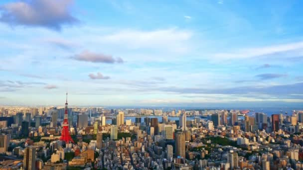 Letecký Pohled Město Tokio Japonsko — Stock video
