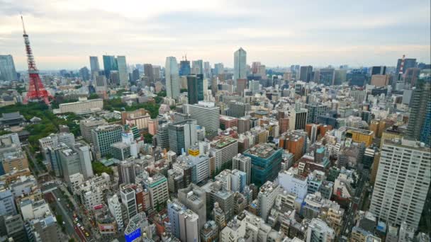 Vista Aérea Cidade Tóquio Japão — Vídeo de Stock