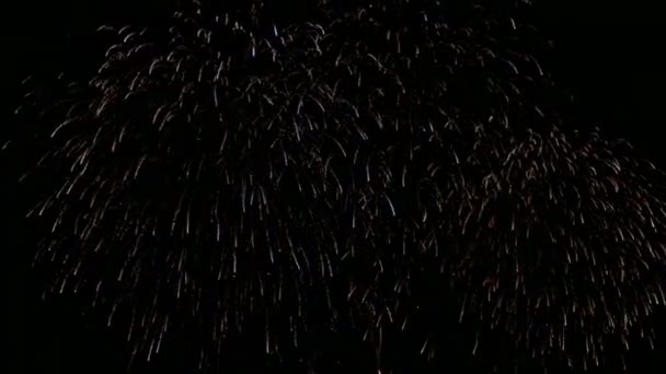 Video Fuochi Artificio Colorati Che Brillano Nel Cielo Notturno Buio — Video Stock