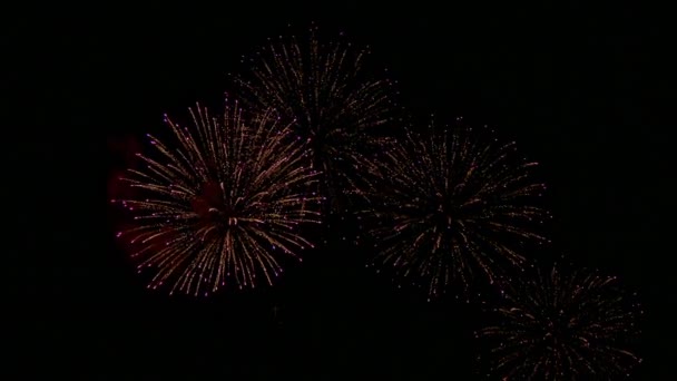 Video Von Buntem Feuerwerk Das Dunklen Nachthimmel Glüht — Stockvideo