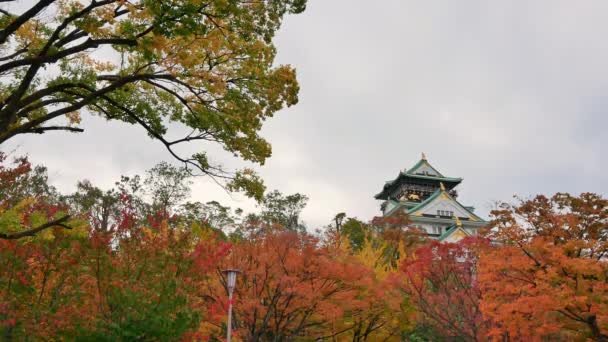 Templo Outono Kyoto Japão — Vídeo de Stock