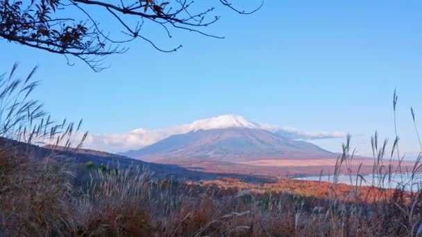 Japonya Daki Fuji Dağı Ile Renkli Sonbahar Manzarası — Stok video