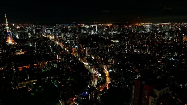 Vue Imprenable Sur Ville Tokyo Vue Sur Nuit — Video