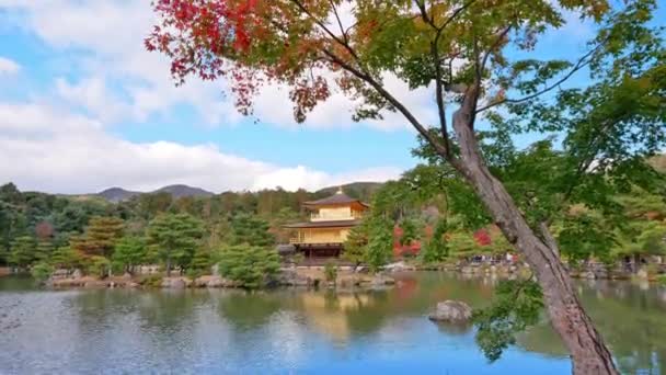 Колоритна Осінь Храмом Кінкакуджі Золотий Павільйон Кіото Японія — стокове відео