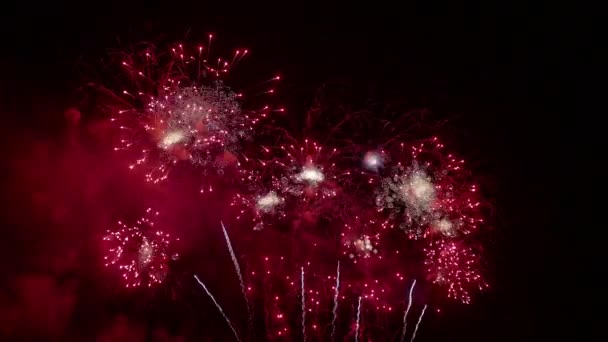 Video Fuegos Artificiales Colores Que Brillan Cielo Oscuro Noche — Vídeo de stock