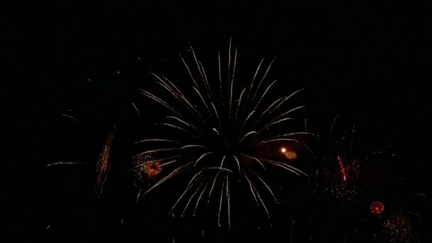 Video Focuri Artificii Colorate Strălucind Cerul Întunecat Nopții — Videoclip de stoc