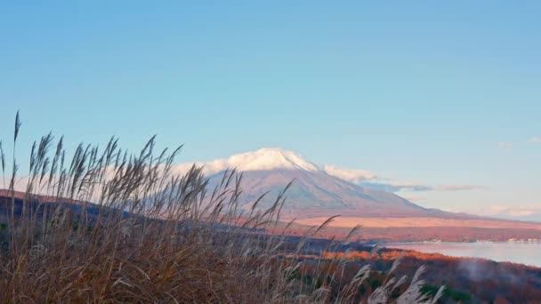 Kleurrijk Herfstlandschap Met Berg Fuji Japan — Stockvideo