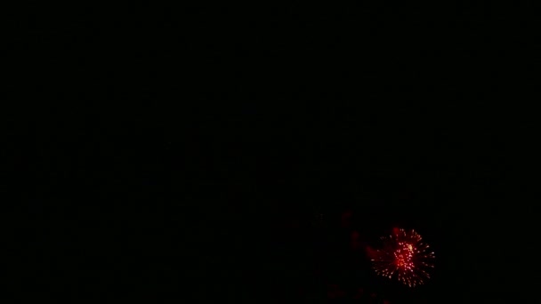 Video Fuochi Artificio Colorati Che Brillano Nel Cielo Notturno Buio — Video Stock