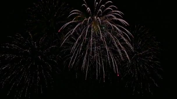 Vídeo Fogos Artifício Coloridos Brilhando Céu Escuro Noite — Vídeo de Stock