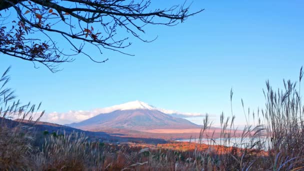 Japonya Daki Fuji Dağı Ile Renkli Sonbahar Manzarası — Stok video