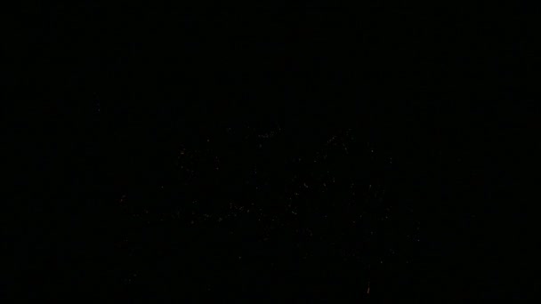 Video Fuochi Artificio Colorati Che Brillano Nel Cielo Notturno Buio — Video Stock