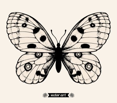 Anahat tek renkli kelebek