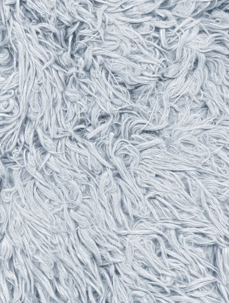 Close-up gray fur texture — Stok Foto