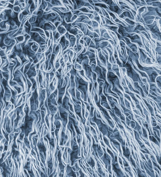 Close-up blue fur texture — Stock Photo, Image