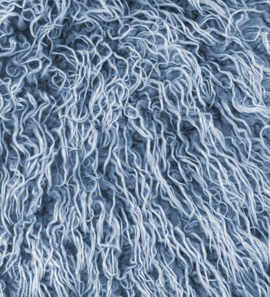 Close-up blue fur texture — Stok Foto