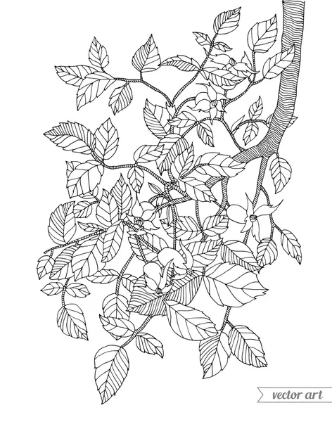 Abstrakte Blüten am Zweig — Stockvektor