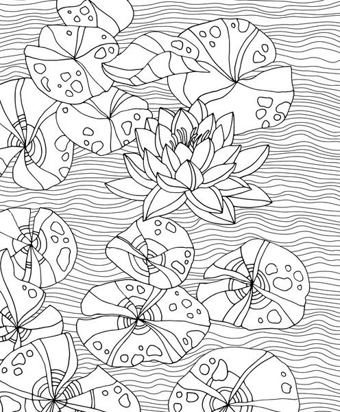 Waterlilies hand drawn artwork — Stock Vector