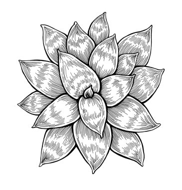 Sade tek renkli soyut çiçek