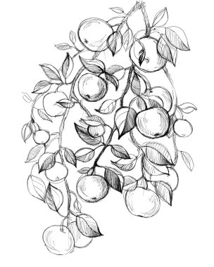 çizilmiş elma el