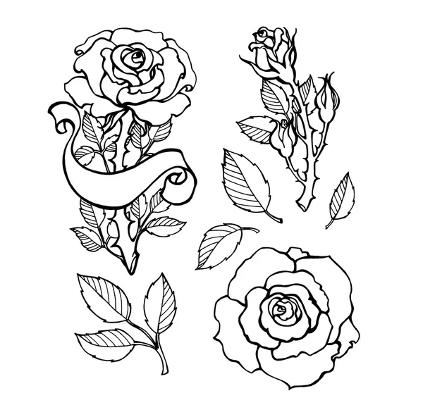 Rosas de monocromático simples — Fotografia de Stock