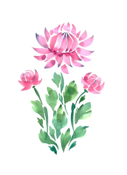 Gyönyörű akvarell virágok — Stock Fotó