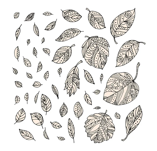 Streszczenie liści odmian — Zdjęcie stockowe