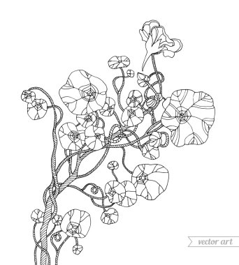 Soyut çiçek ve yaprakları  