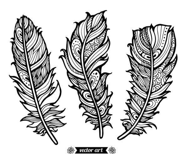 Patrón de plumas de contorno — Archivo Imágenes Vectoriales