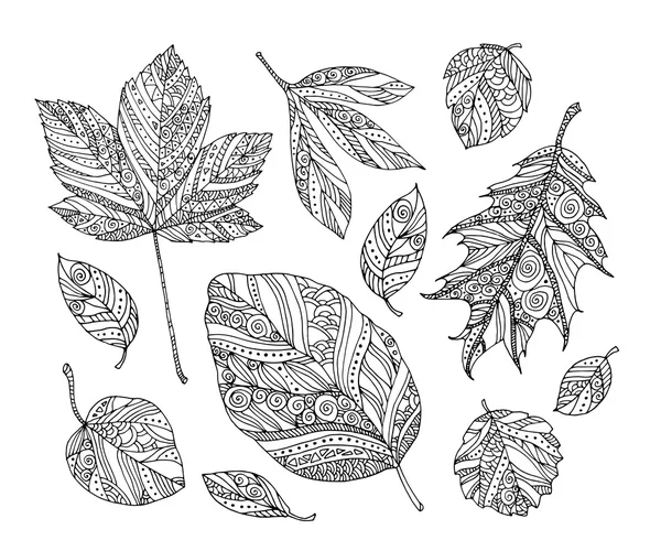 Conjunto de folhas de floresta —  Vetores de Stock