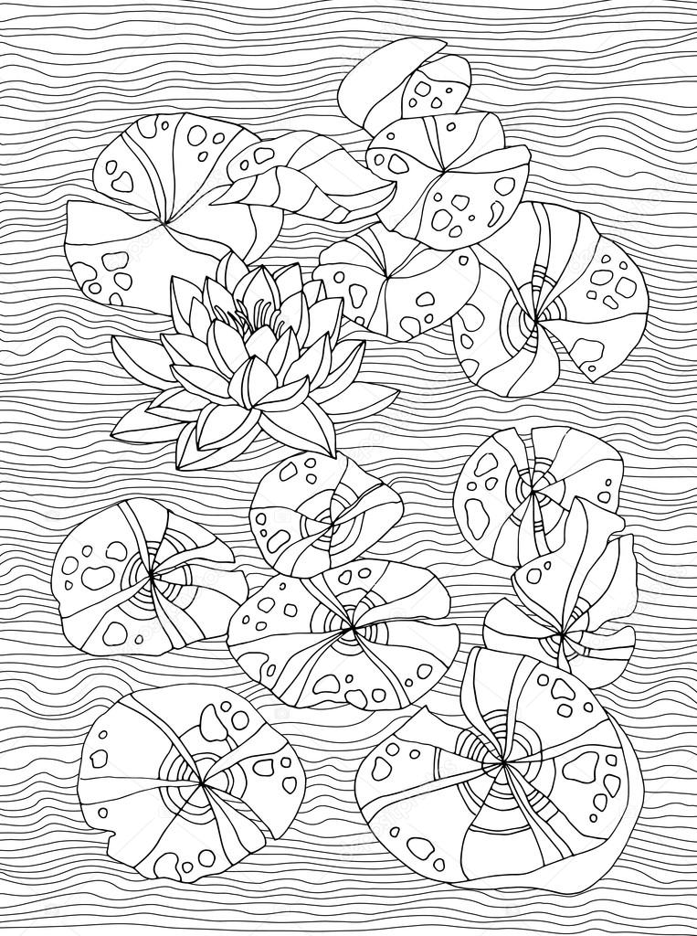 Waterlilies isolated on white, forest wild plant, lotus pond, zen garden. Vector artwork. Coloring book page for adult. Hand drawn artwork. Bohemia concept for branding, logo, label. Black and white
