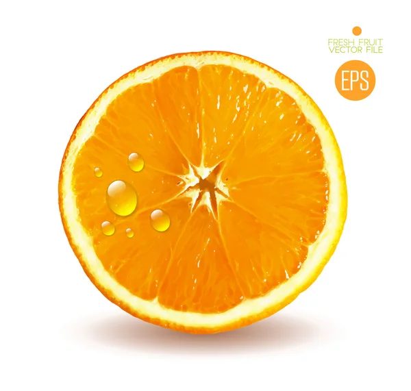 Naranja jugosa en rodajas — Vector de stock