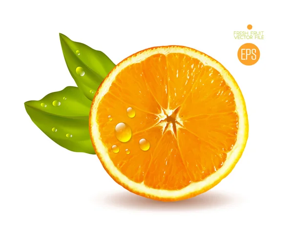 Naranja en rodajas con hojas verdes — Vector de stock